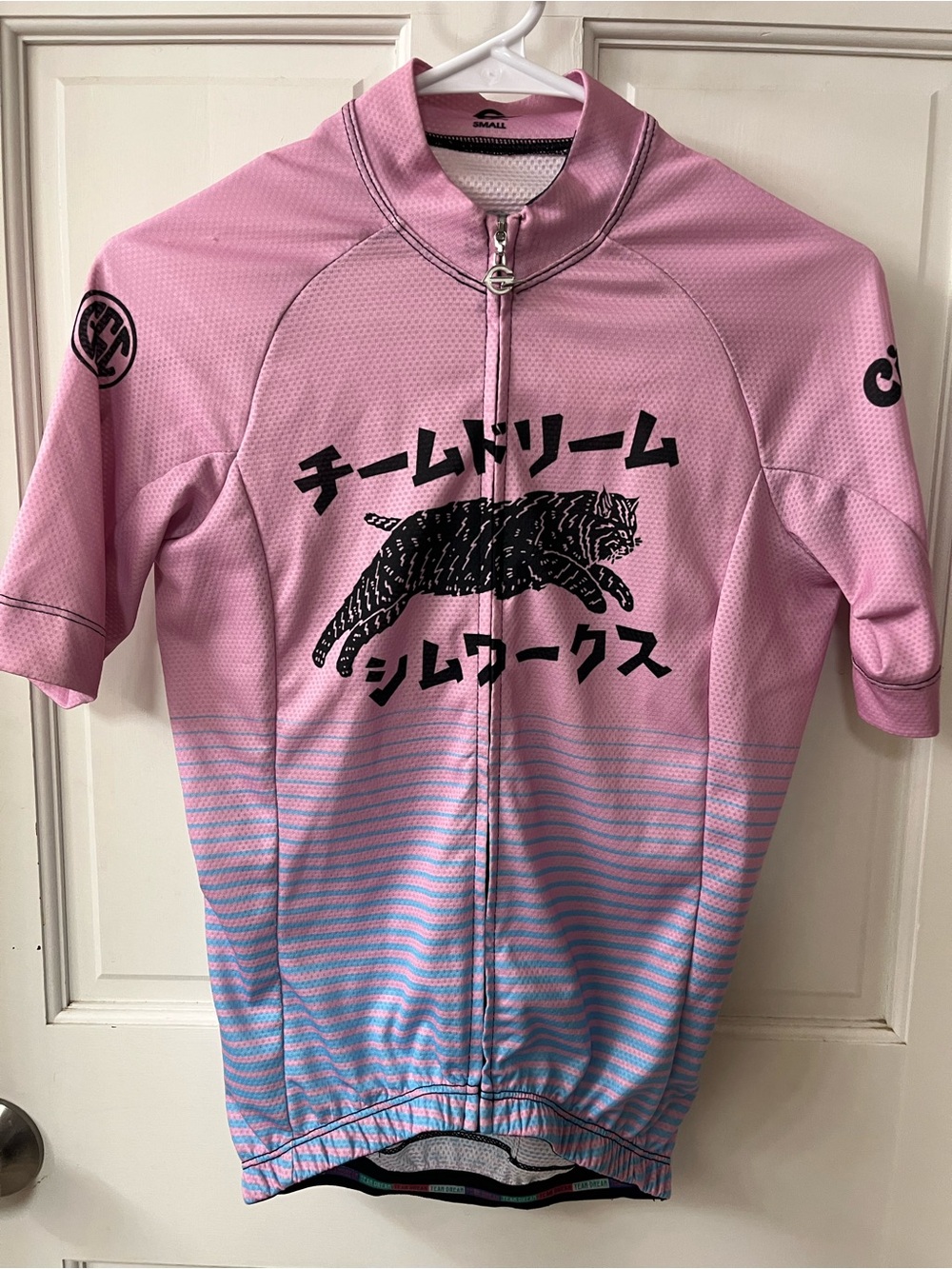 Team Dream cycling jersey - Small